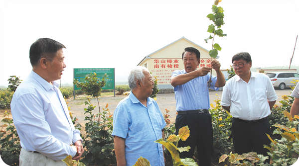 北京林業(yè)大學(xué)原校長中國堅果品牌集群專家組組長宋維明到基地調(diào)研