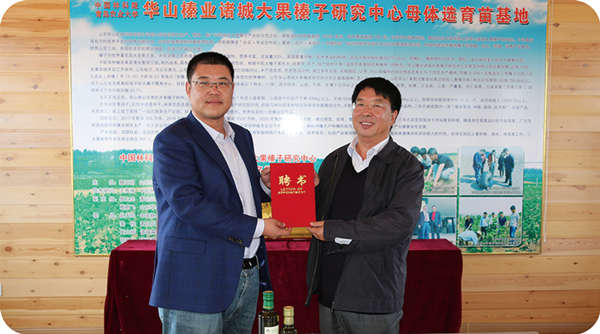 山東三羊榛緣生物科技有限公司聘請中國農(nóng)業(yè)大學(xué) 高彥祥教授為榛子深加工技術(shù)顧問