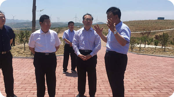 濰坊市副市長馬清民到基地調(diào)研