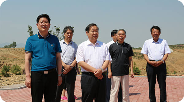 山東省自然資源廳副廳長、林業(yè)局副局長馬福義到基地調(diào)研